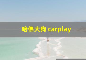 哈佛大狗 carplay